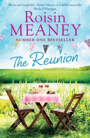 Cover of the book The Reunion by Roisin Meaney