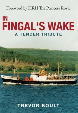 Book cover of In Fingal's Wake