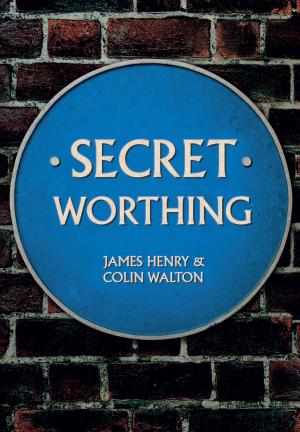 Book cover of Secret Worthing