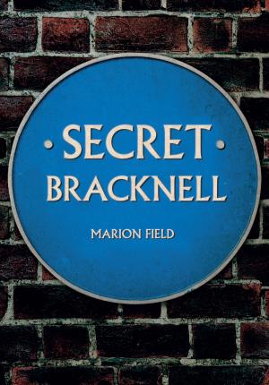 Cover of the book Secret Bracknell by Steve Ellwood