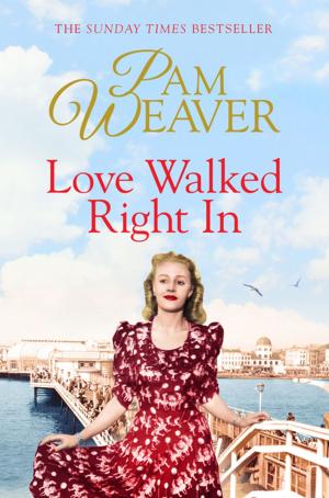 bigCover of the book Love Walked Right In by 