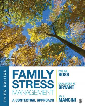 Cover of the book Family Stress Management by Divonna M. Stebick, Joy M. Dain