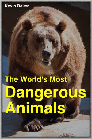 Cover of the book The World's Most Dangerous Animals by Lyn Dillies