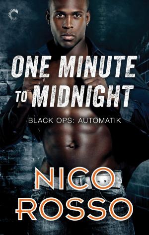 Cover of the book One Minute to Midnight by K.A. Mitchell