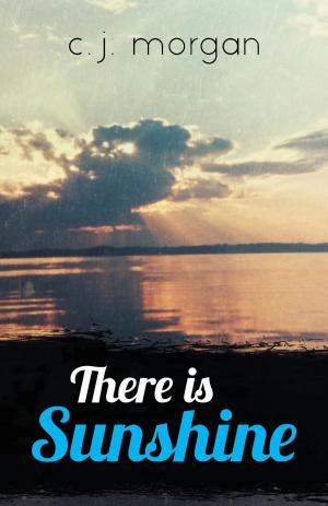Cover of the book There Is Sunshine by C. S. Sheehan
