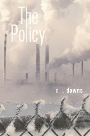 Cover of the book The Policy by Gabriel Riel