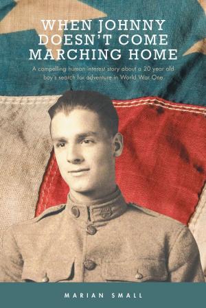 Book cover of When Johnny Doesn't Come Marching Home