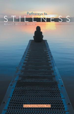 Cover of the book Pathways to Stillness by Ray Vendetti