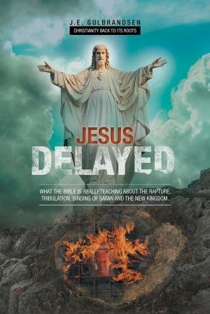 Cover of the book Jesus Delayed by Ray Vendetti