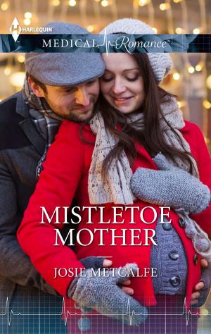 Book cover of MISTLETOE MOTHER