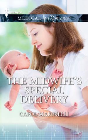 Cover of the book The Midwife's Special Delivery by Julie Bozza