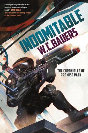Cover of the book Indomitable by Cora Carmack