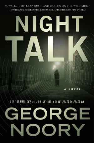 Cover of the book Night Talk by Rhiannon Held