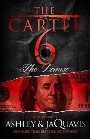 Cover of the book The Cartel 6: The Demise by David Bradwell