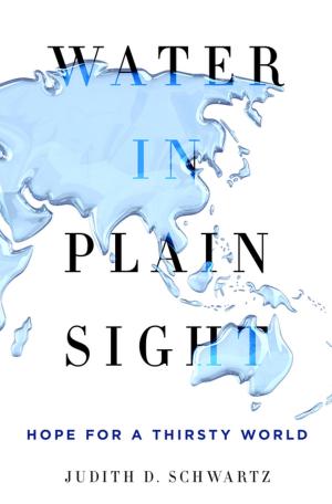 Cover of the book Water in Plain Sight by Eliot Pattison