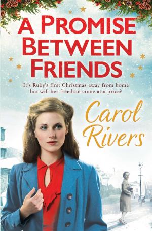 Cover of the book A Promise Between Friends by Tarquin Hall