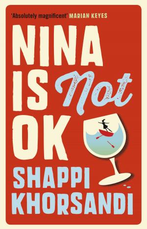 Cover of the book Nina is Not OK by Lisette Ashton