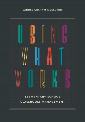 Cover of the book Using What Works by Judy Tilton Brunner, Matthew S. Hudson