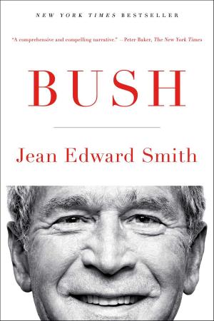 Cover of the book Bush by Stephen E. Ambrose