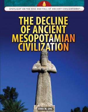 Cover of the book The Decline of Ancient Mesopotamian Civilization by 