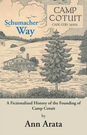 Cover of the book Schumacher Way by Kennedy Seagrave