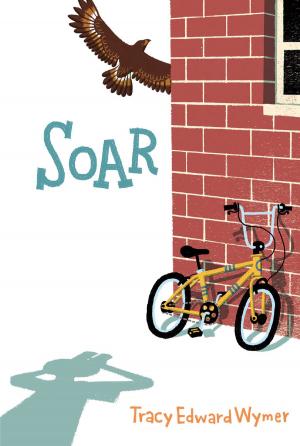 Cover of the book Soar by Franklin W. Dixon