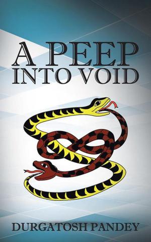 bigCover of the book A Peep into Void by 