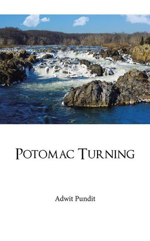 bigCover of the book Potomac Turning by 