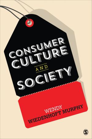 Cover of the book Consumer Culture and Society by Dr. Allen F. Repko, Professor Rick Szostak