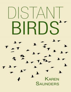 Book cover of Distant Birds