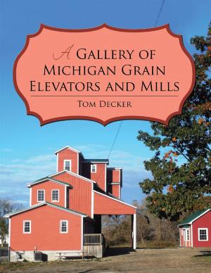 Cover of the book A Gallery of Michigan Grain Elevators and Mills by Lawrence Cheung