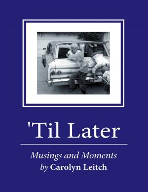 Cover of the book 'Til Later by Maria Dahlen, Sage Stanley