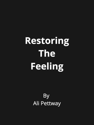 Cover of the book Restoring The Feeling by Barbara Ann Derksen
