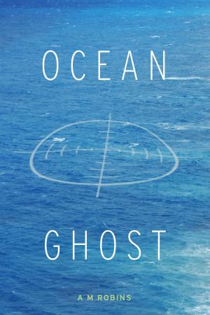 Cover of the book Ocean Ghost by Novice McDaniel