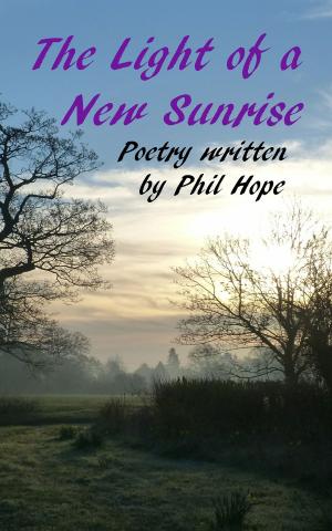 Book cover of The Light of a New Sunrise