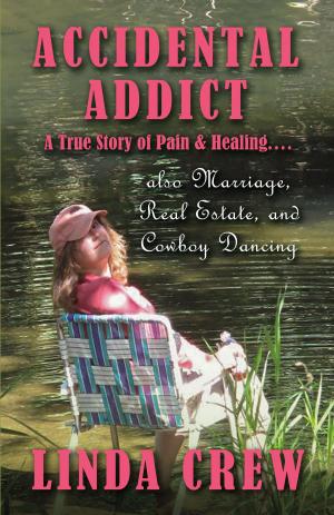 Cover of the book Accidental Addict by Russ Smith