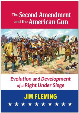 Cover of the book The Second Amendment and the American Gun by Alun Morris