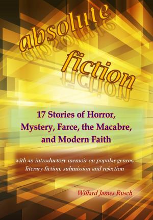 Cover of the book Absolute Fiction by Adam Yacoub