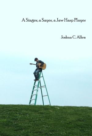 Cover of the book A Singer, A Sayer, A Jaw Harp Player by Gage Washburn