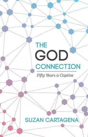 Cover of the book The God Connection by Cat Hatchett