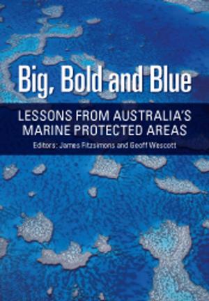 Cover of the book Big, Bold and Blue by LO Kolarik, AJ Priestley