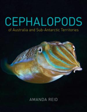 Cover of the book Cephalopods of Australia and Sub-Antarctic Territories by Steve Parish, Greg Richards, Les Hall
