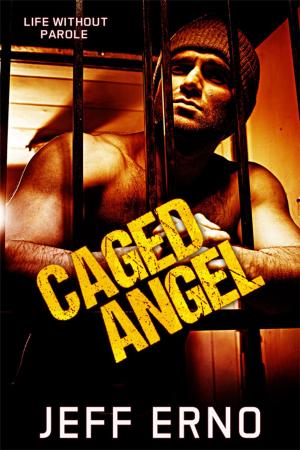 Cover of the book Caged Angel by Seelie Kay