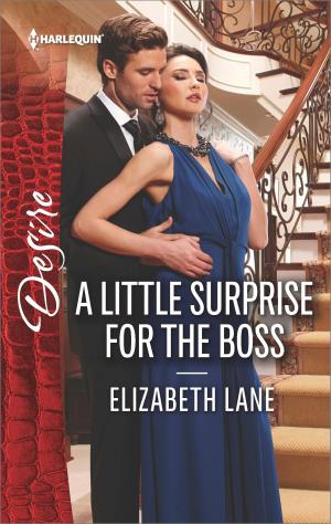 Cover of the book A Little Surprise for the Boss by Christine Rimmer
