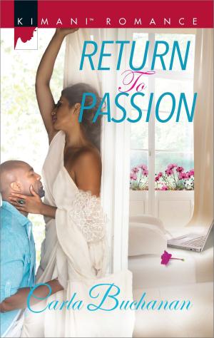 Cover of the book Return to Passion by Lee Tobin McClain