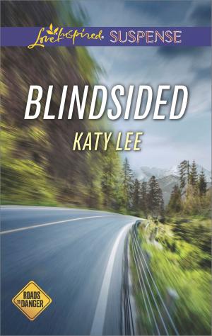 Cover of the book Blindsided by Liz Ireland