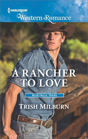 Cover of the book A Rancher to Love by Agathe Colombier Hochberg