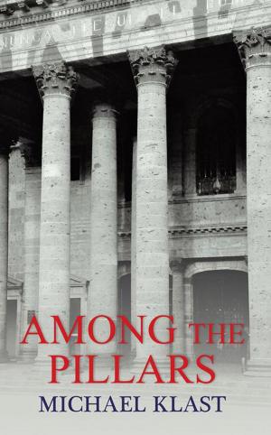 Cover of the book Among the Pillars by T. L. Hoch
