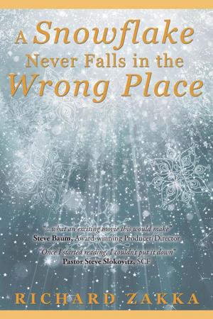 Cover of the book A Snowflake Never Falls in the Wrong Place by Terri-Jean Bedford