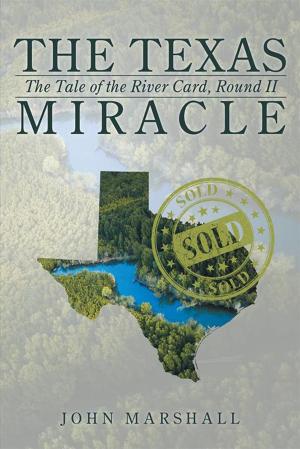 Cover of the book The Texas Miracle by Walter J. Whittemore Jr.